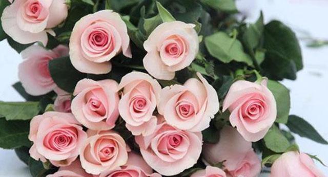 十一朵的玫瑰花语——爱情的完美告白（用花言巧语传递心意）