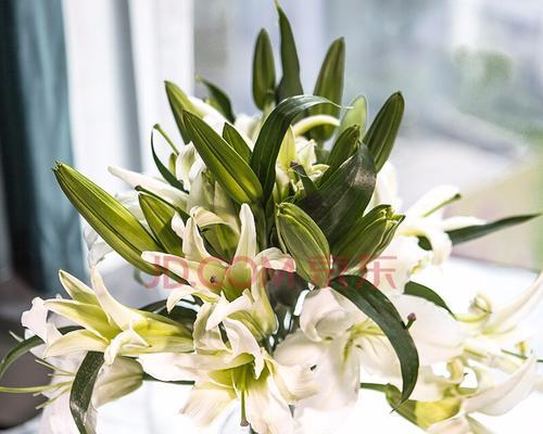 百合花的象征意义及送女友百合花的深意（探究百合花传递的爱情信息和情感表达方式）
