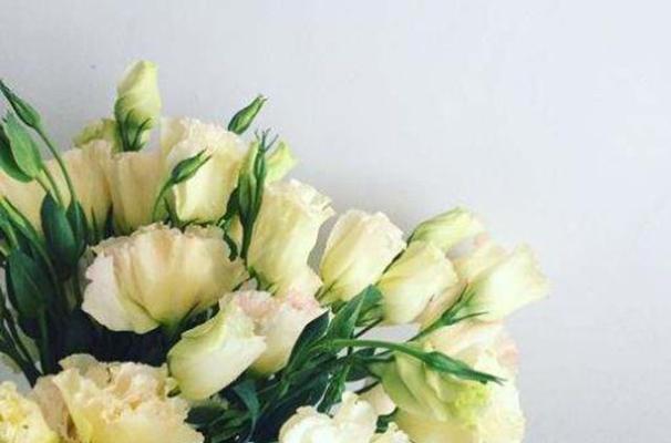 香槟洋桔梗花语搭配，传递不同情感（香槟洋桔梗花语的魅力及搭配推荐）