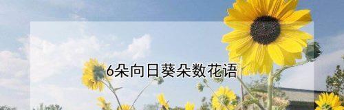 阳光下的希望——向日葵花语的寓意与启示（探寻向日葵的花海）