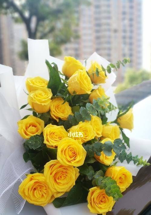 黄玫瑰的意义与象征——情侣间的送花选择（探索黄玫瑰在情侣之间的特殊含义与表达方式）