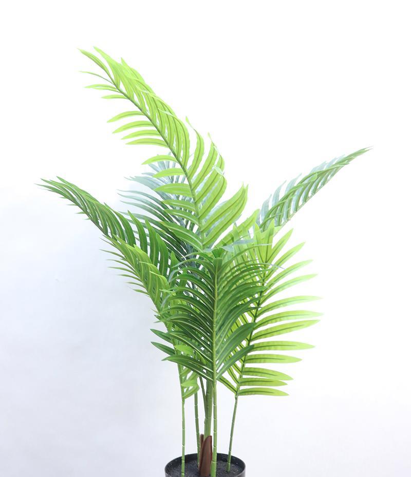 散尾花（探寻散尾花的花语与魅力）