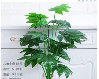 八角花盆，适合养什么花（种出别样风情）