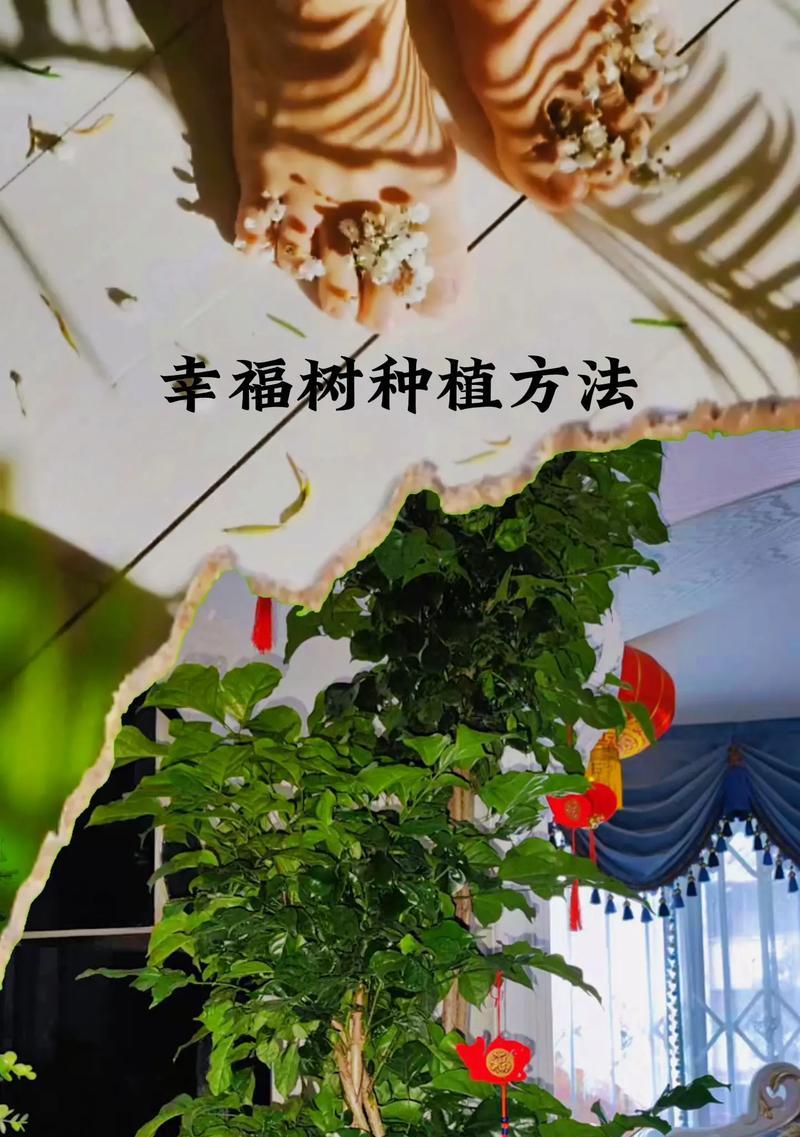奔龙养殖全攻略（从入手到成材）