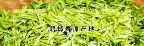 探秘中国绿茶的名品——碧螺春
