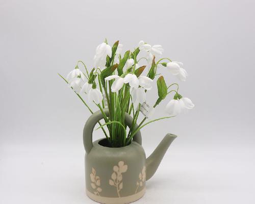 雪滴花的花语与传说（揭秘雪滴花的秘密）