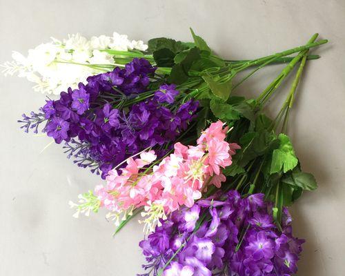紫色风信子花语（花开时）