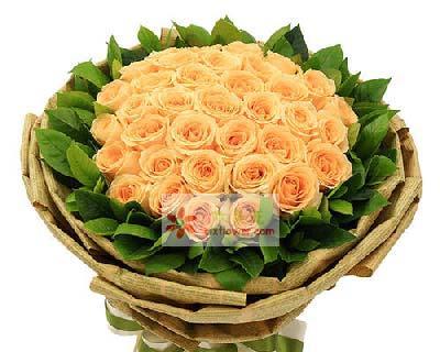 33朵玫瑰的花语与象征意义（33朵玫瑰的神秘背后）