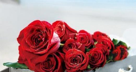 62朵玫瑰所代表的花语及意义解析（浪漫之情的完美象征与表达方式——62朵玫瑰花语解读）