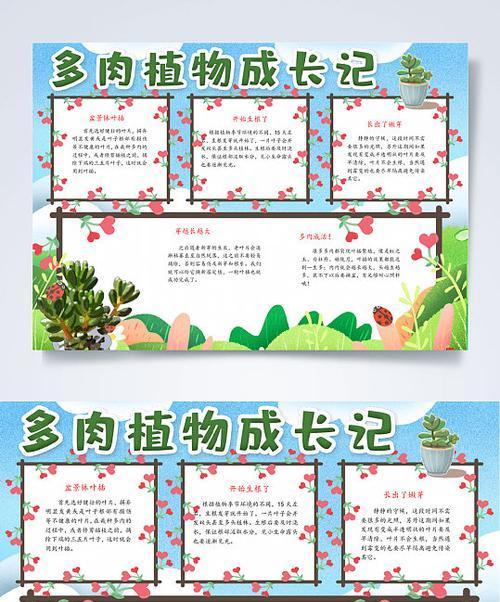 如何种植多肉种子（多肉种子发芽的时间及技巧）