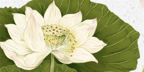 桃花生肖之谜（用桃花描绘十二生肖的幸运特质与命运）