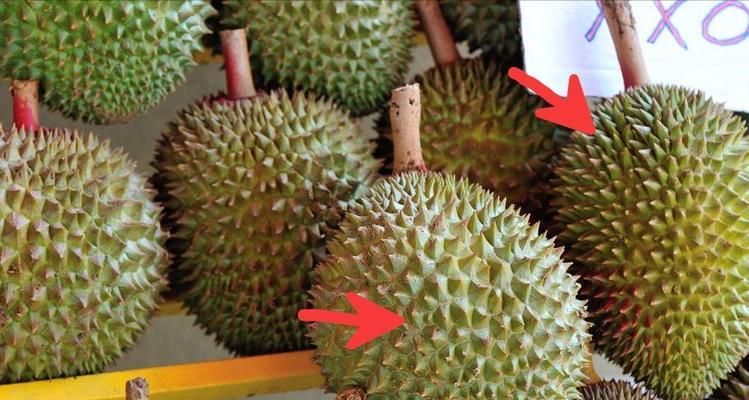 榴莲品种排名，最好吃的品种是哪个（品尝口感）