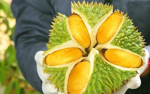 榴莲剥皮技巧大揭秘（轻松愉快剥榴莲）