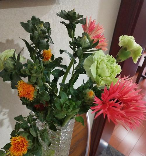 非洲菊的花语（以不同颜色非洲菊的花语为窗口）