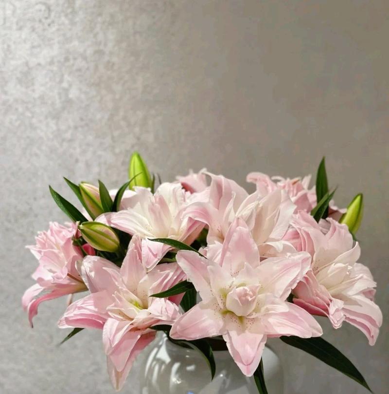 粉百合的花语之美（探索粉百合的意义与象征）