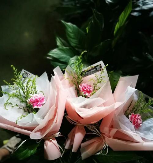 爱与感恩——粉康乃馨花语的传递（用花语诉说深情）
