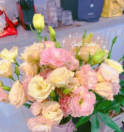 粉色桔梗花语-传递爱与祝福的使者（桔梗花的花语及象征意义解读）