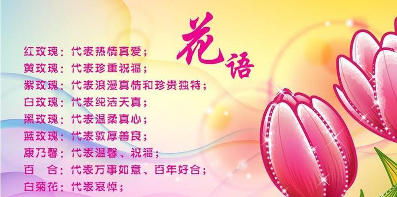 粉色菊花的花语-传递爱与友情的力量（粉色菊花的美丽与温暖）
