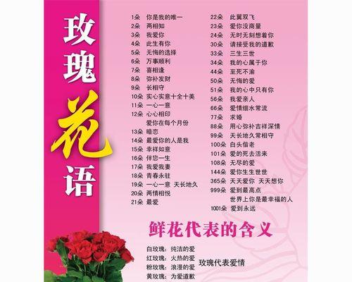 粉色玫瑰的花语与寓意（探寻粉色玫瑰的浪漫之道）