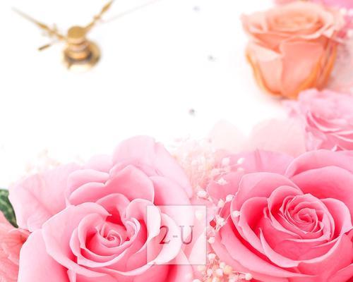 33朵粉色玫瑰花的浪漫寓意（爱的承诺与真挚情感）