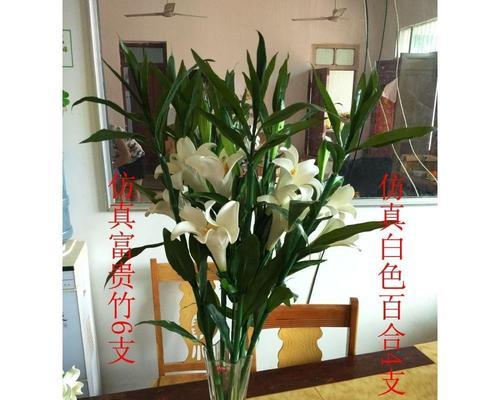 富贵竹（探索富贵竹的寓意与象征）