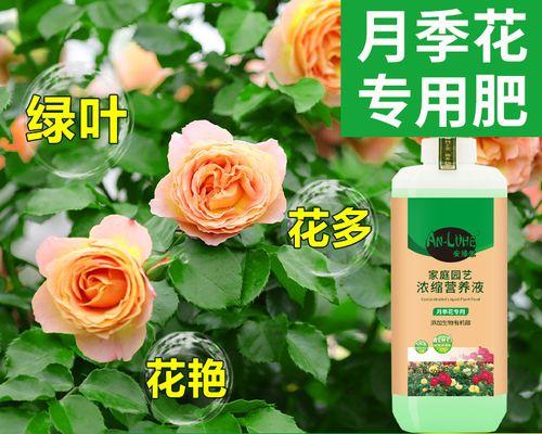 喜酸性花卉的魅力（探寻花园中的喜酸性植物）