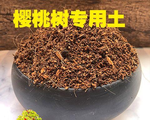 酸性土花卉的栽培与养护（打造花园中的缤纷酸性花海）