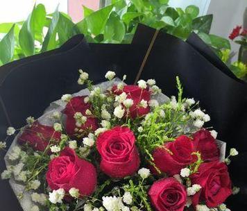 17朵玫瑰的花语与意义（浪漫的言语）