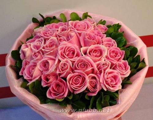 33朵玫瑰花花语的深意（探寻33朵玫瑰花所代表的含义）