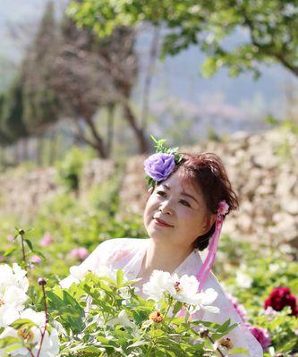 牡丹花（探秘牡丹花的花语与魅力）