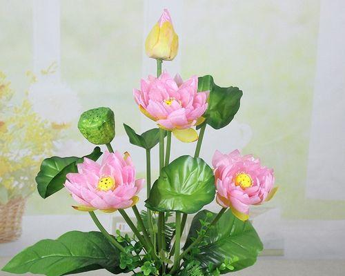 花瓶中的荷花代表什么？让生活绽放出美丽的含义是什么？