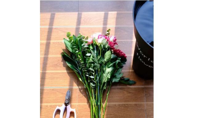 冬青的醒花方法与步骤（让冬青开出美丽花朵的简单技巧）