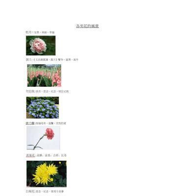 锦带花（美丽而含蓄的锦带花）