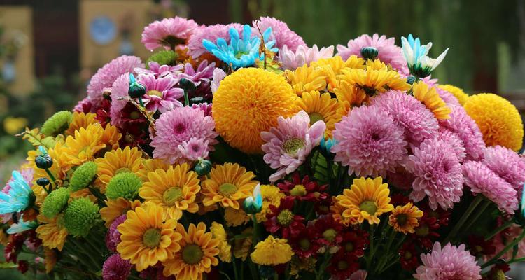 开封的市花——牡丹花（牡丹花的美丽与象征意义）