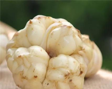 百合花种子怎么吃法？食用时需要注意什么？