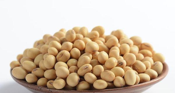白扁豆是热性还是凉性？白扁豆的属性是什么？
