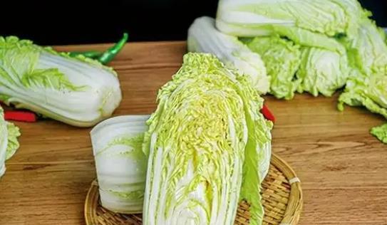 白菜能放冰箱吗？白菜的储存方法是什么？