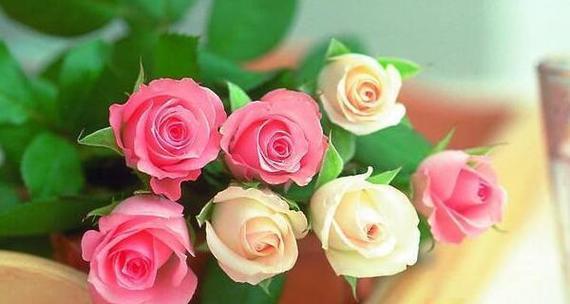 玫瑰花多少朵的含义是什么？不同数量玫瑰花的寓意是什么？