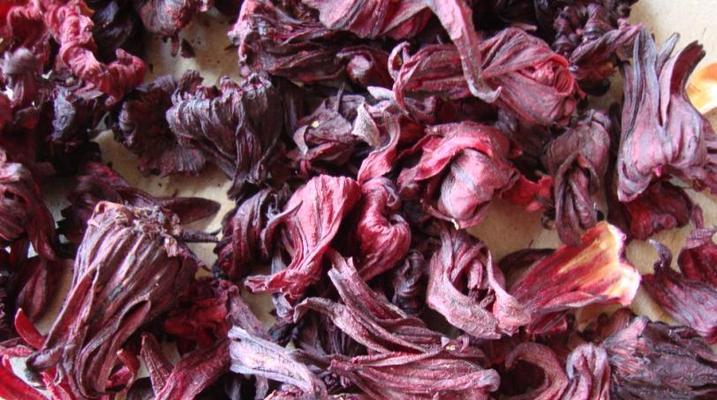 玫瑰茄的传说是什么？玫瑰茄的花语是什么？