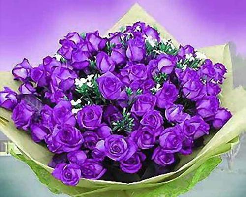 浪漫花语的花是什么？哪些花的花语浪漫？