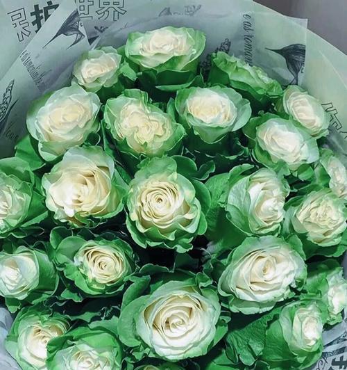 绿玫瑰真正的花语是什么？绿玫瑰的寓意是什么？