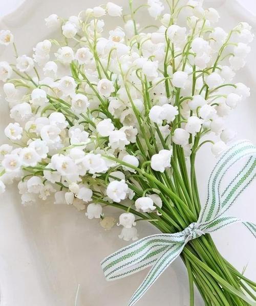 铃兰的花语是什么意思？铃兰的寓意是什么？
