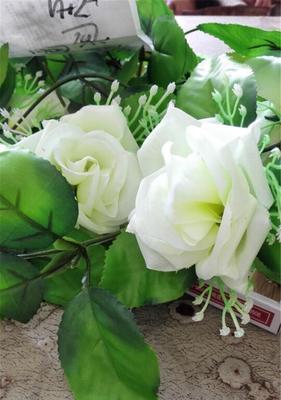 白色玫瑰花代表意思是什么？白玫瑰的象征意义是什么？