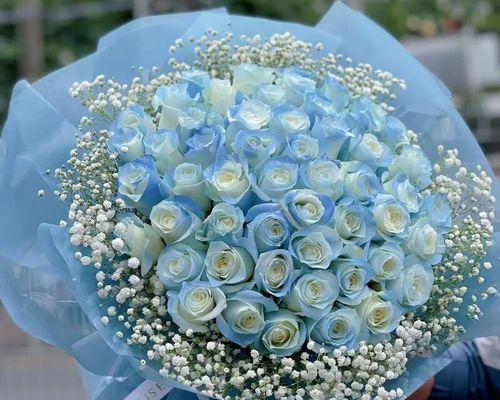 玫瑰花的花语是什么意思？玫瑰花的寓意是什么？