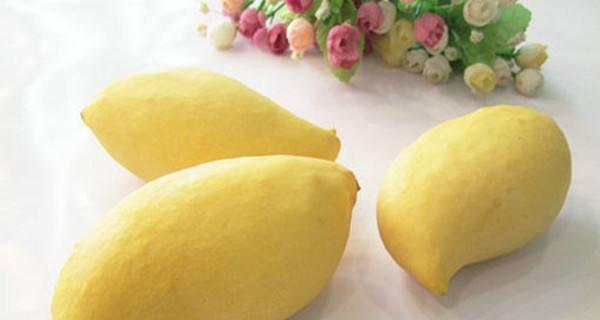 芒果保存方法是什么？如何储存芒果才能保存更久？
