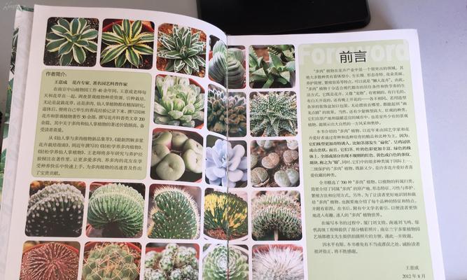 草莓卷娟多肉养殖方法是什么？如何正确养殖草莓卷娟多肉？