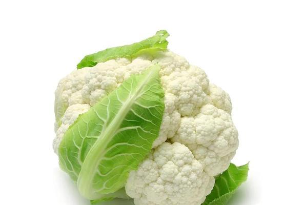 草莓忌氯吗？种植草莓时如何避免氯害？