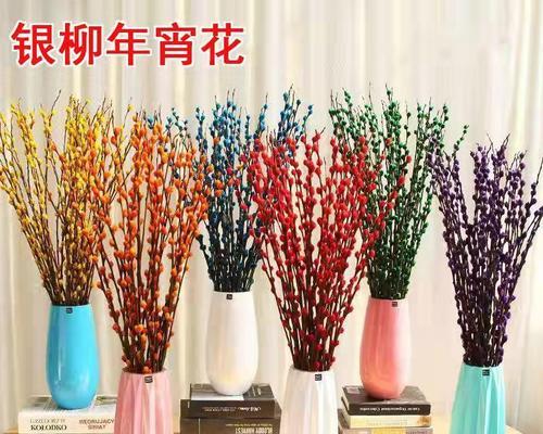 银柳的花语和寓意是什么？如何在园艺中应用？