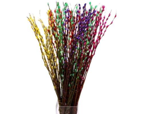 银柳的花语是什么？了解银柳的象征意义和文化背景？