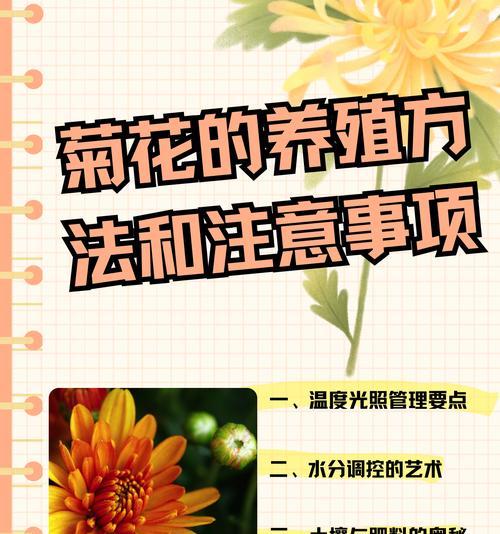 花盆土壤干燥变硬怎么办？如何保持土壤湿润？